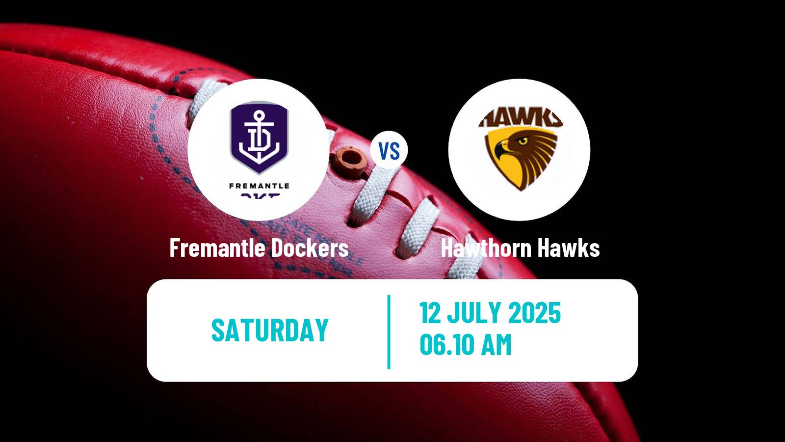 Aussie rules AFL Fremantle Dockers - Hawthorn Hawks