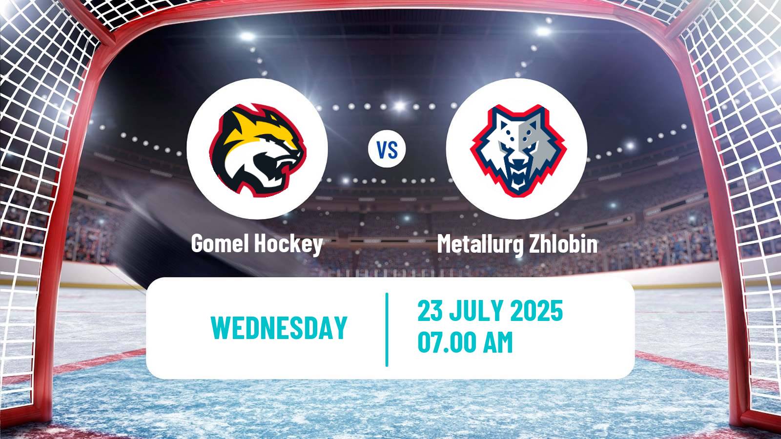 Hockey Club Friendly Ice Hockey Gomel - Metallurg Zhlobin