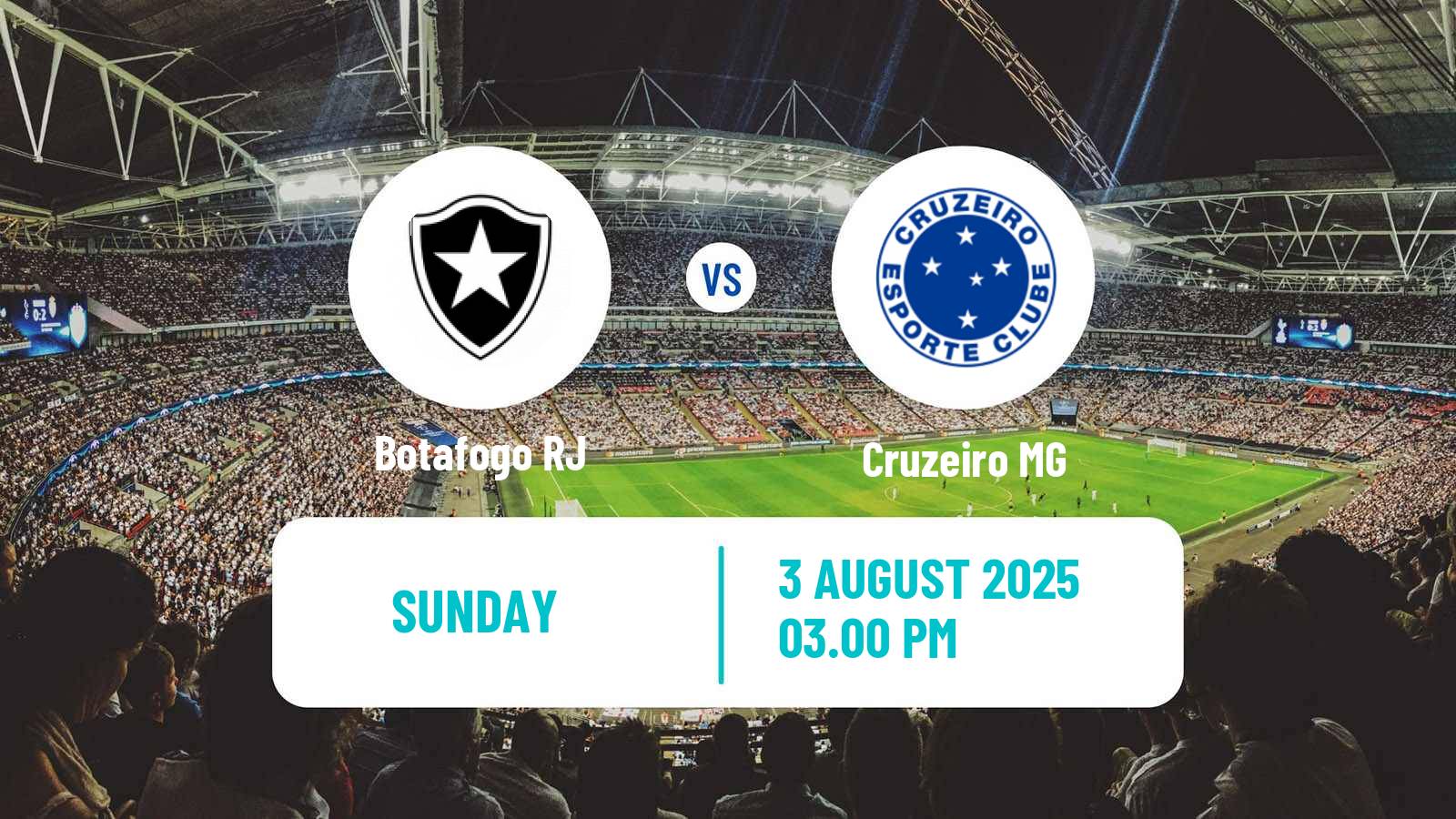 Soccer Brazilian Serie A Botafogo RJ - Cruzeiro