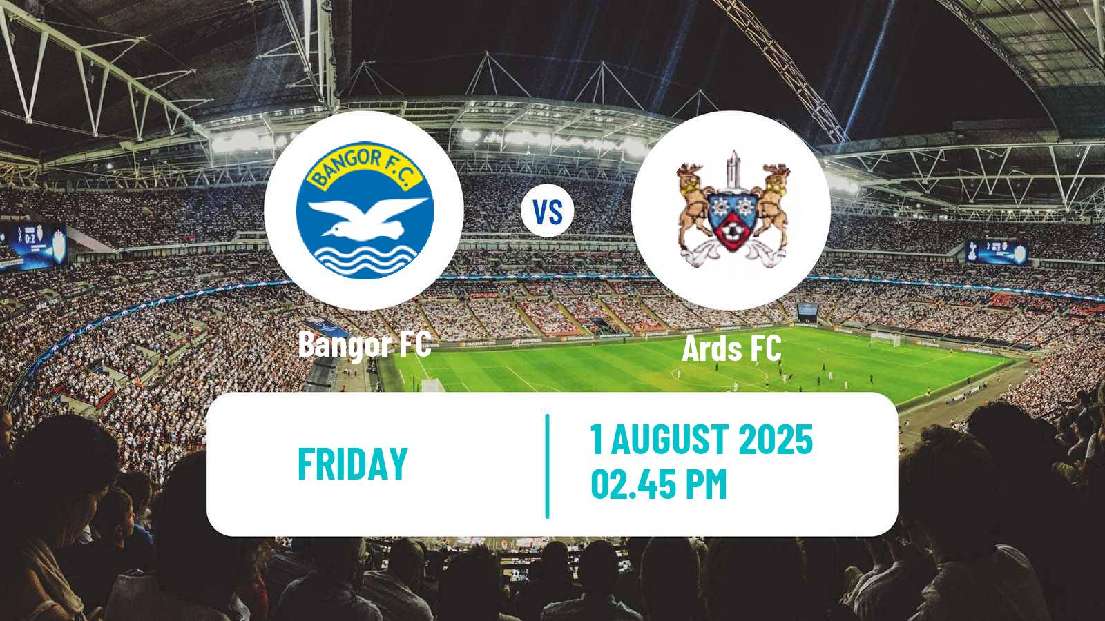 Soccer Club Friendly Bangor - Ards