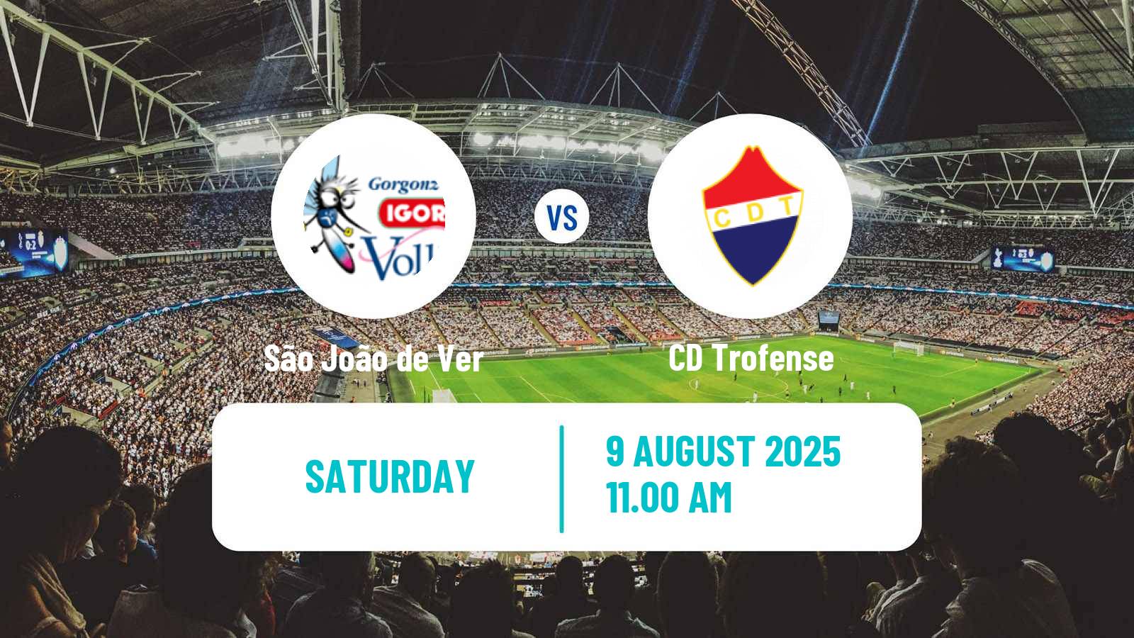 Soccer Portuguese Liga 3 São João de Ver - Trofense