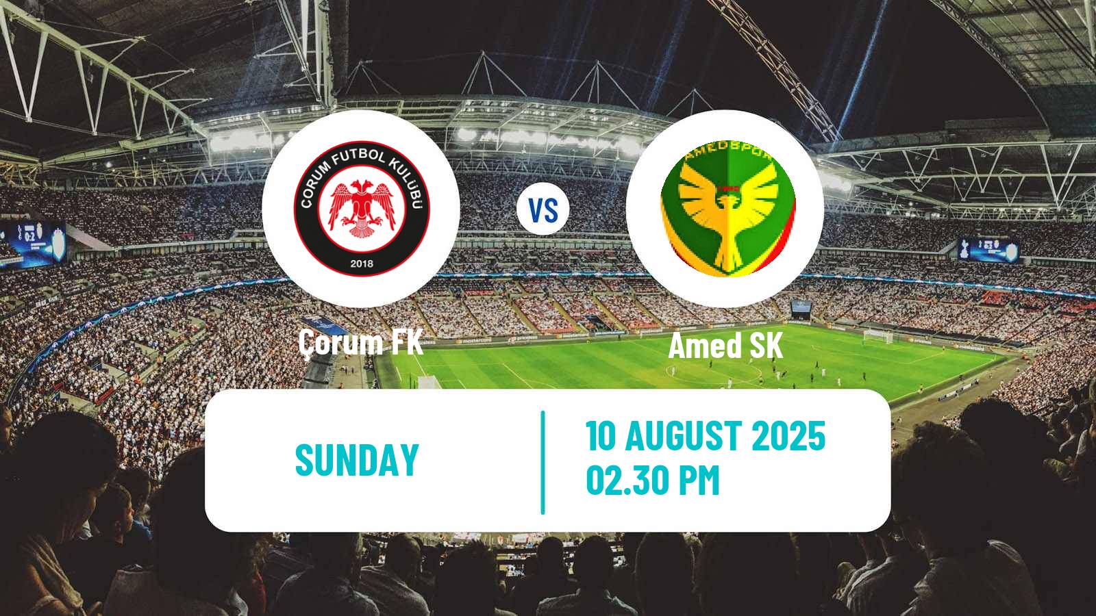 Soccer Turkish First League Çorum - Amed SK
