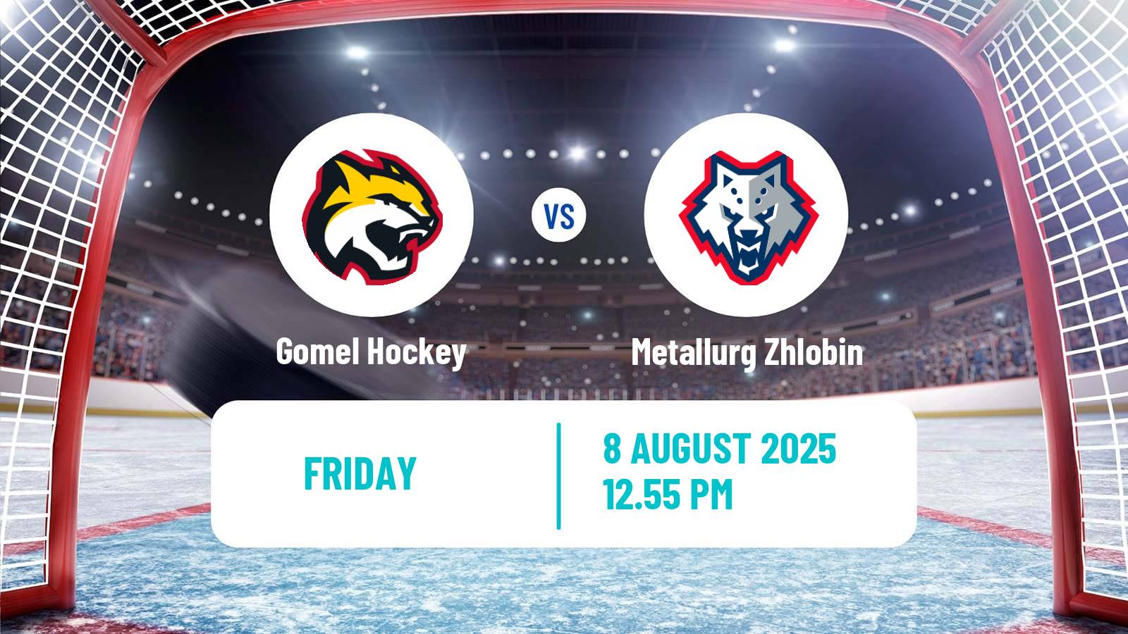 Hockey Belarusian Cup Hockey Gomel - Metallurg Zhlobin