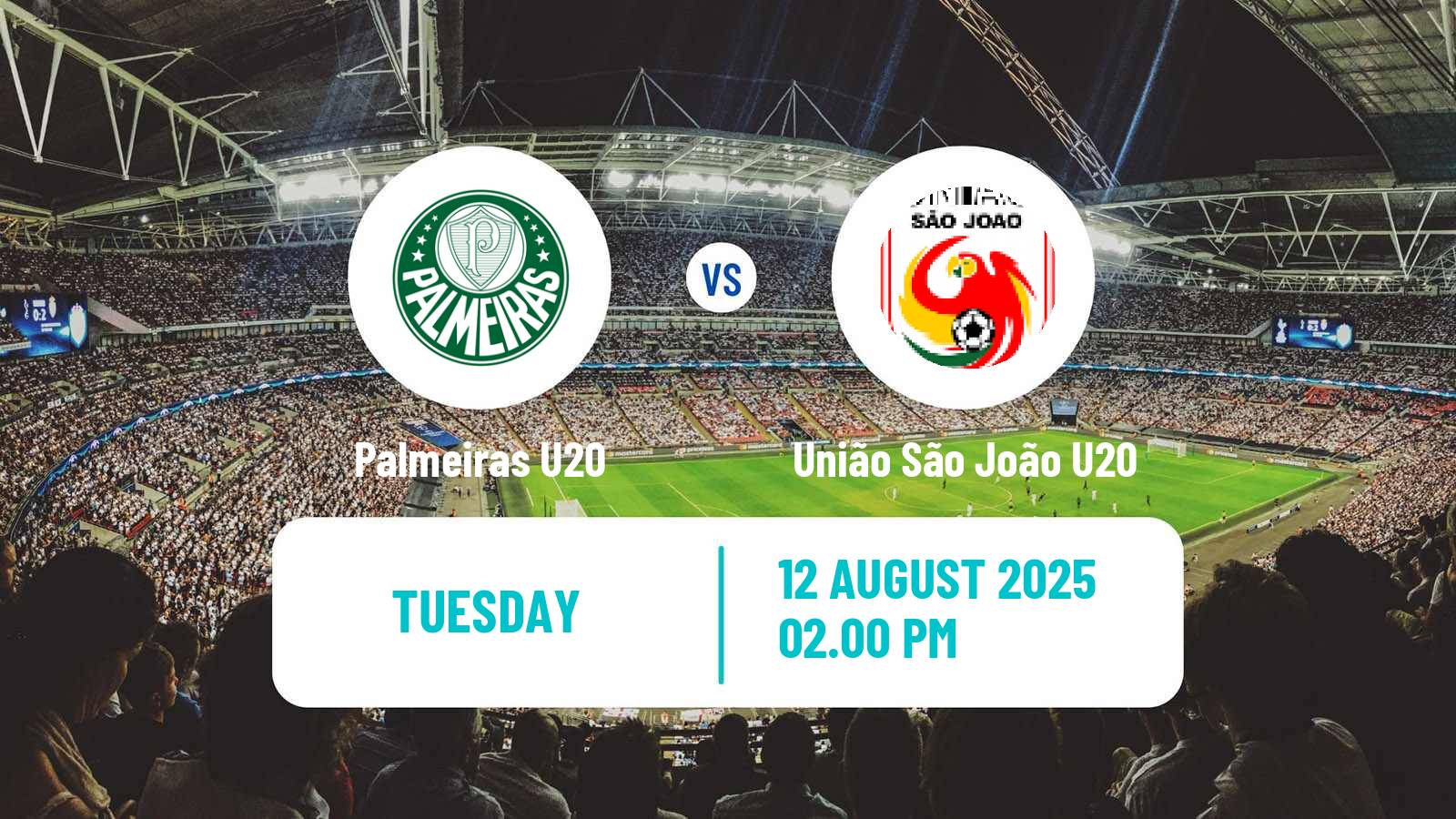 Soccer Brazilian Paulista U20 Palmeiras U20 - União São João U20