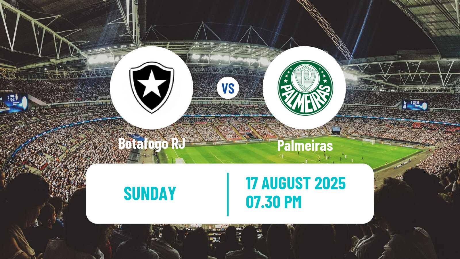 Soccer Brazilian Serie A Botafogo RJ - Palmeiras