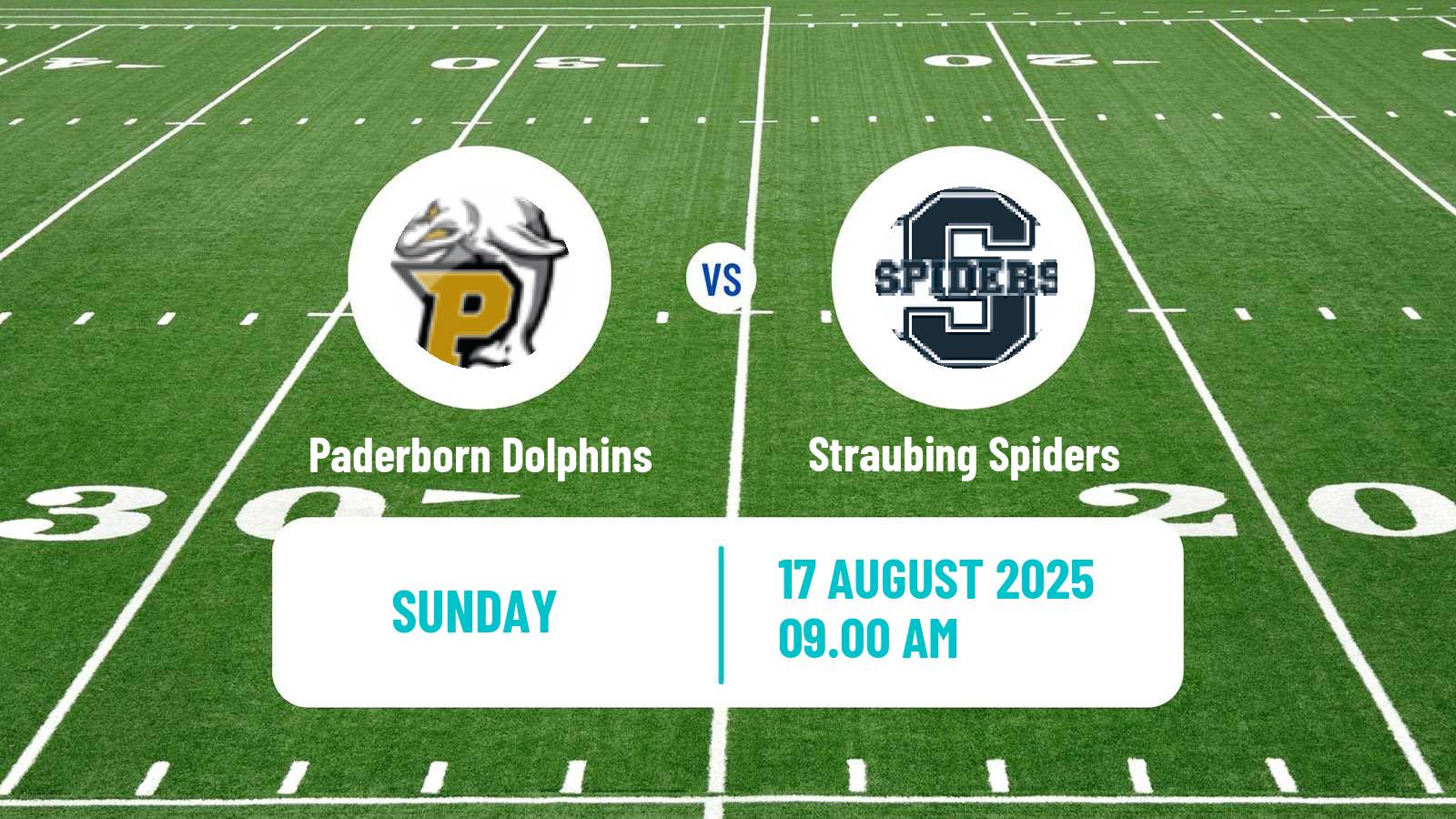 American football German GFL Paderborn Dolphins - Straubing Spiders