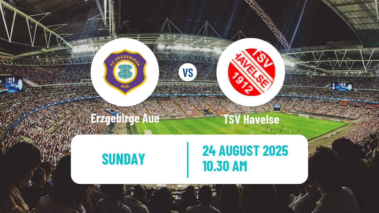 Soccer German 3 Bundesliga Erzgebirge Aue - TSV Havelse
