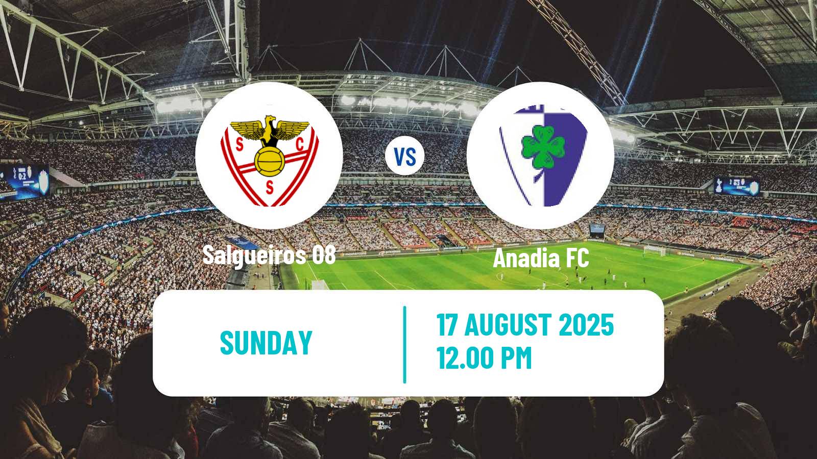 Soccer Campeonato de Portugal Salgueiros 08 - Anadia