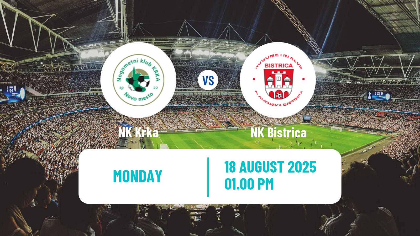 Soccer Slovenian 2 SNL Krka - Bistrica