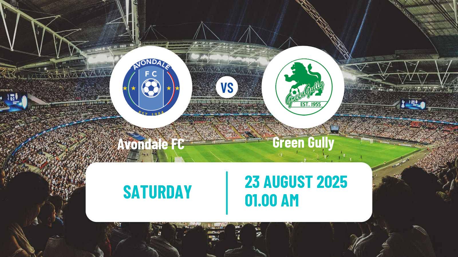 Soccer Australian NPL Victoria Avondale - Green Gully