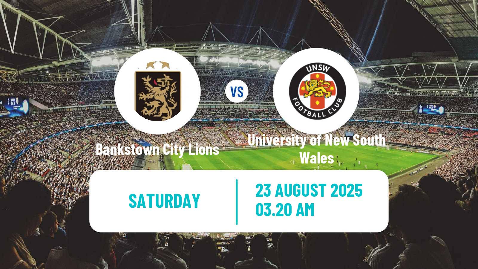 Soccer Australian NSW League One Bankstown City Lions - University of New South Wales