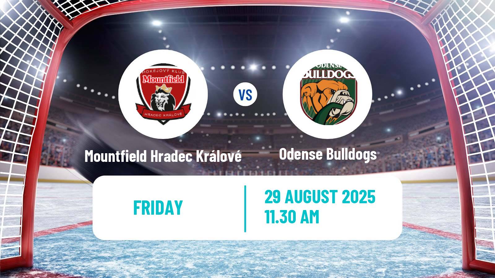 Hockey Champions League Ice Hockey Mountfield Hradec Králové - Odense Bulldogs