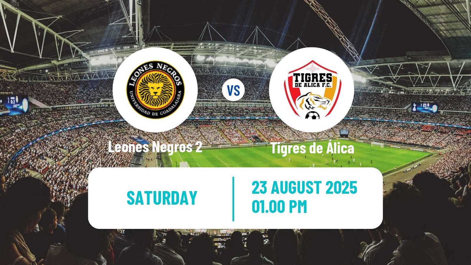 Soccer Mexican Liga Premier Serie A Leones Negros 2 - Tigres de Álica