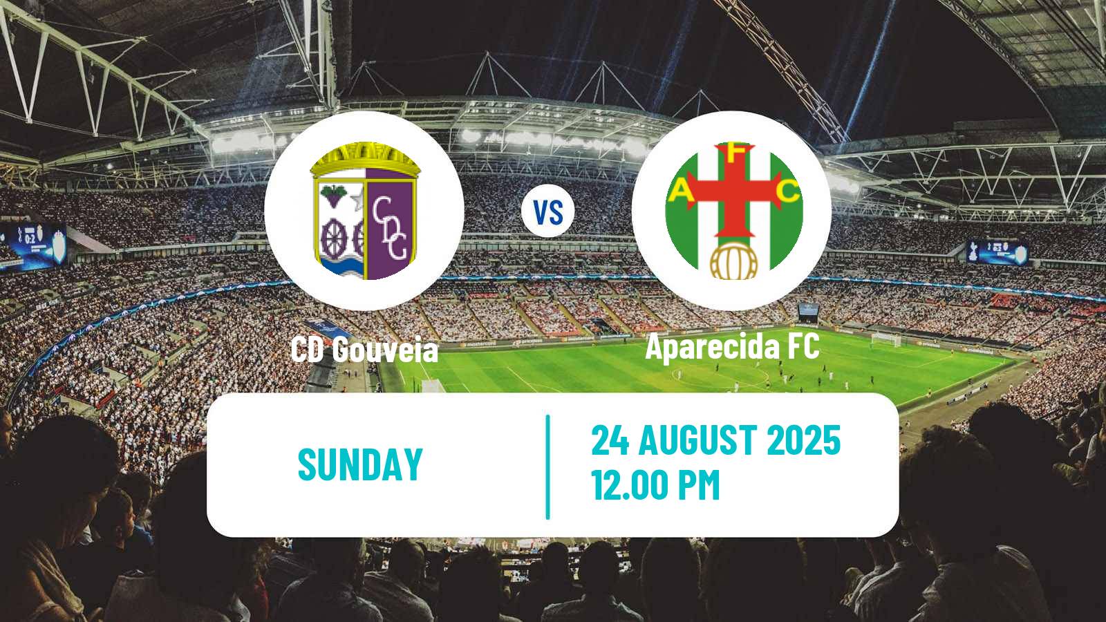 Soccer Campeonato de Portugal Gouveia - Aparecida
