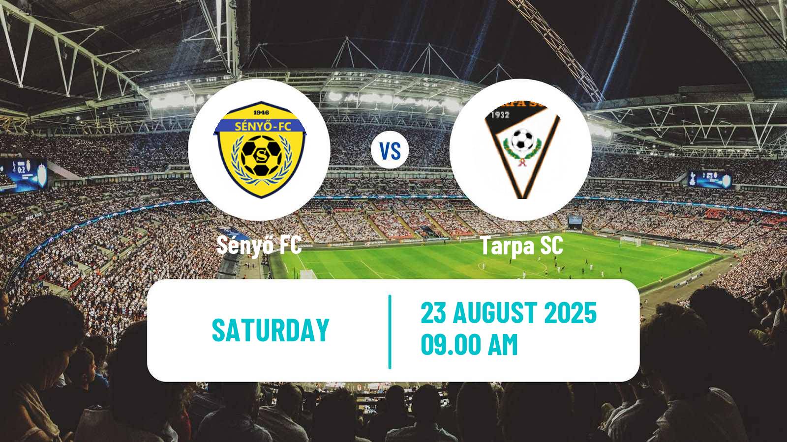 Soccer Hungarian Cup Sényő - Tarpa