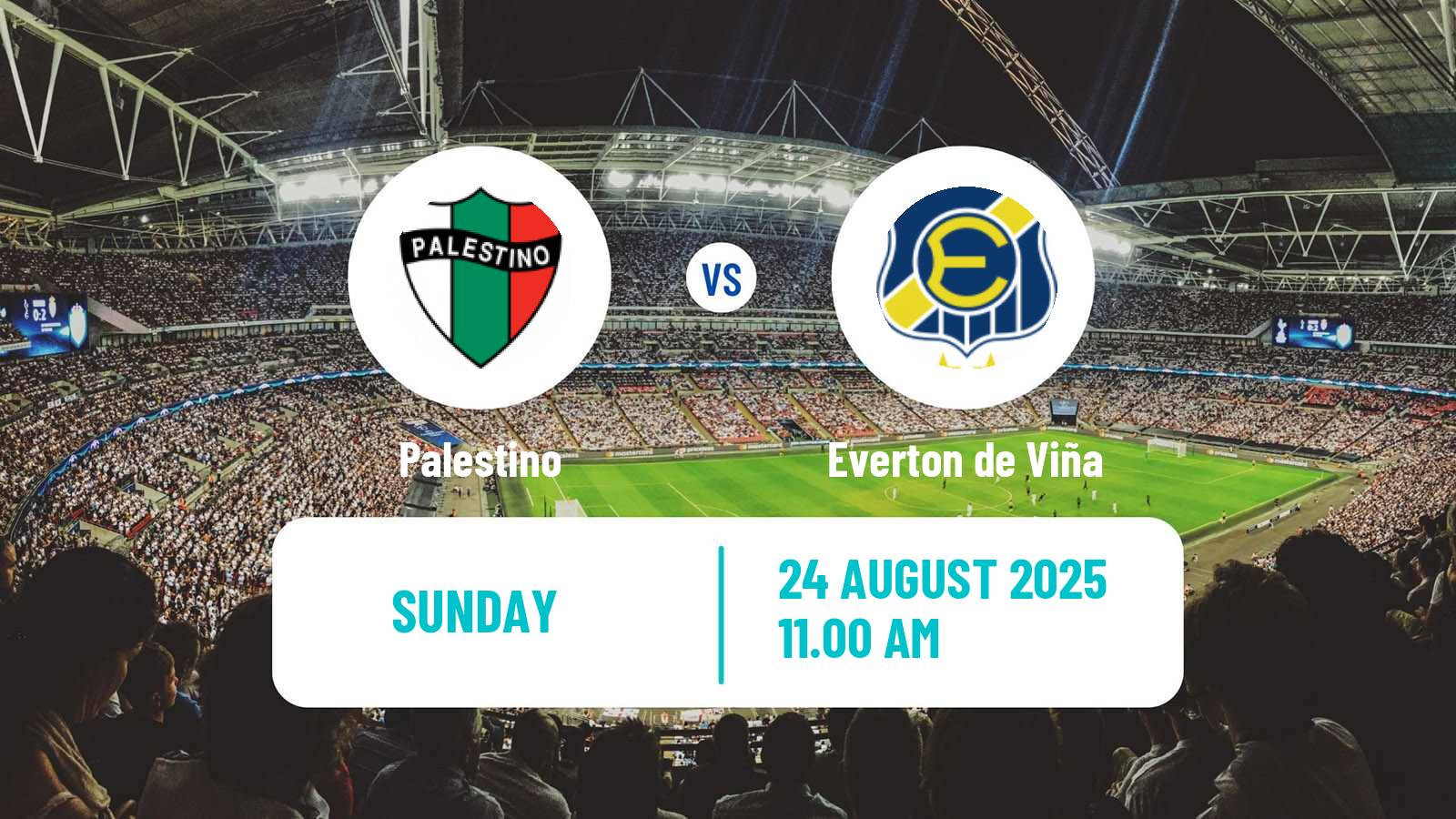 Soccer Chilean Primera Division Women Palestino - Everton de Viña