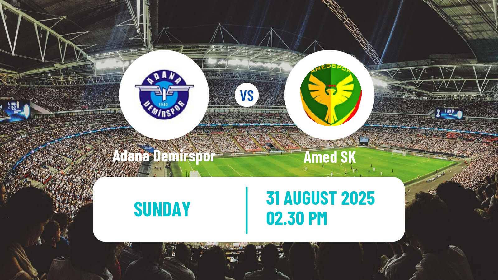 Soccer Turkish First League Adana Demirspor - Amed SK