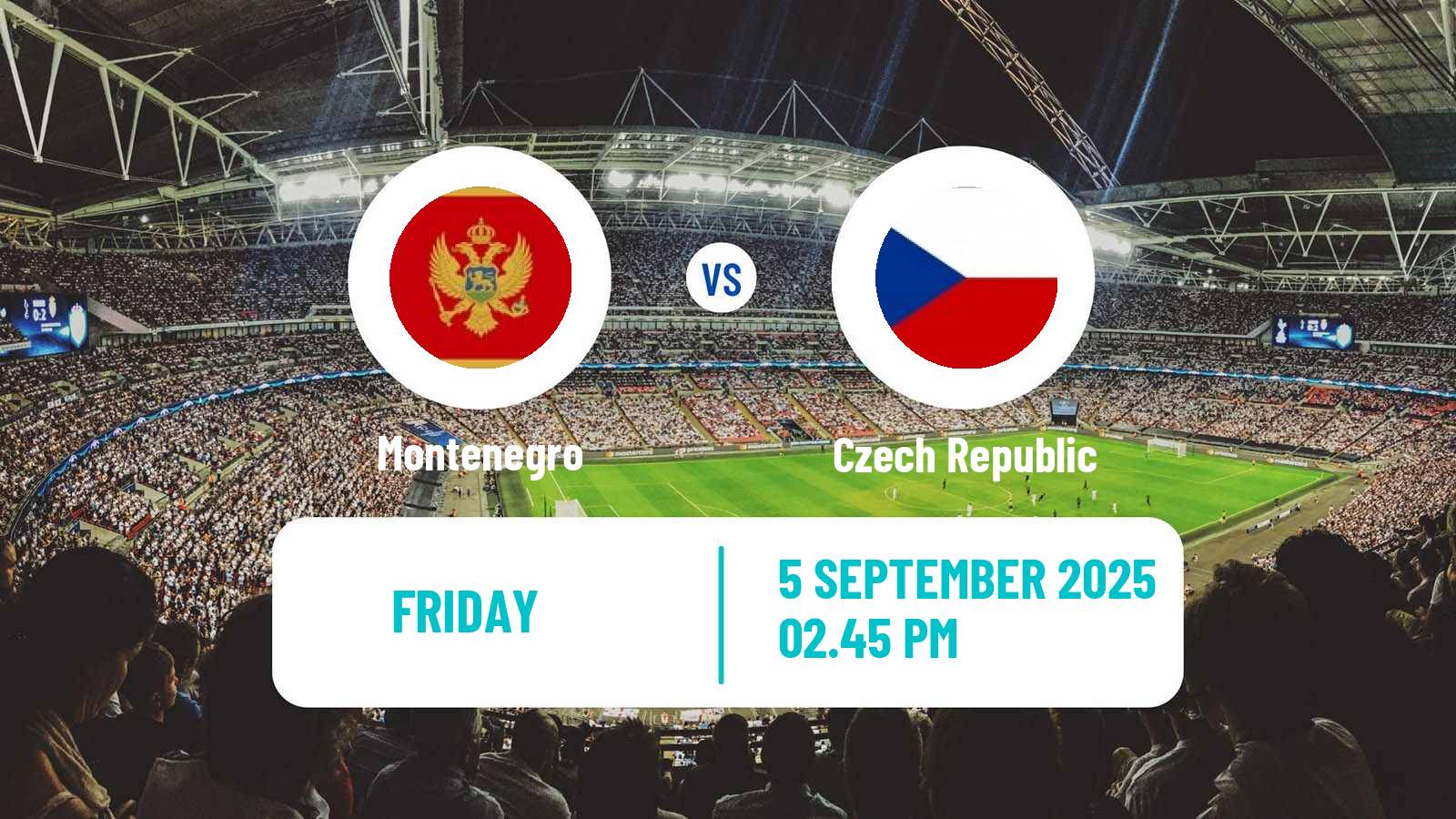 Soccer FIFA World Cup Montenegro - Czech Republic