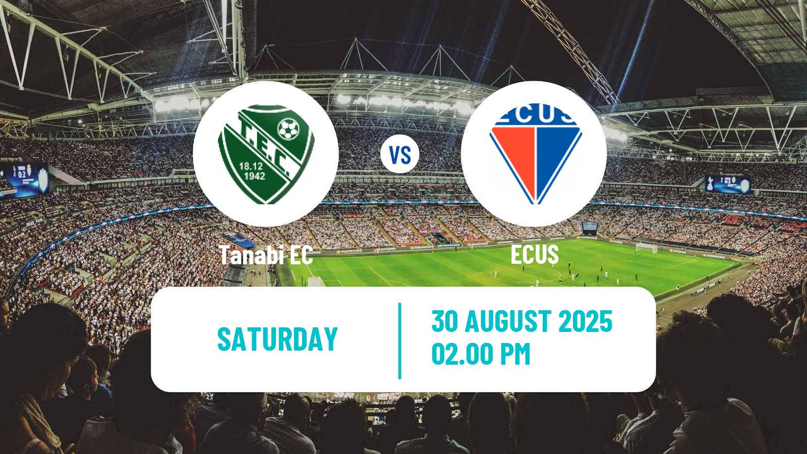 Soccer Brazilian Paulista B Tanabi - ECUS