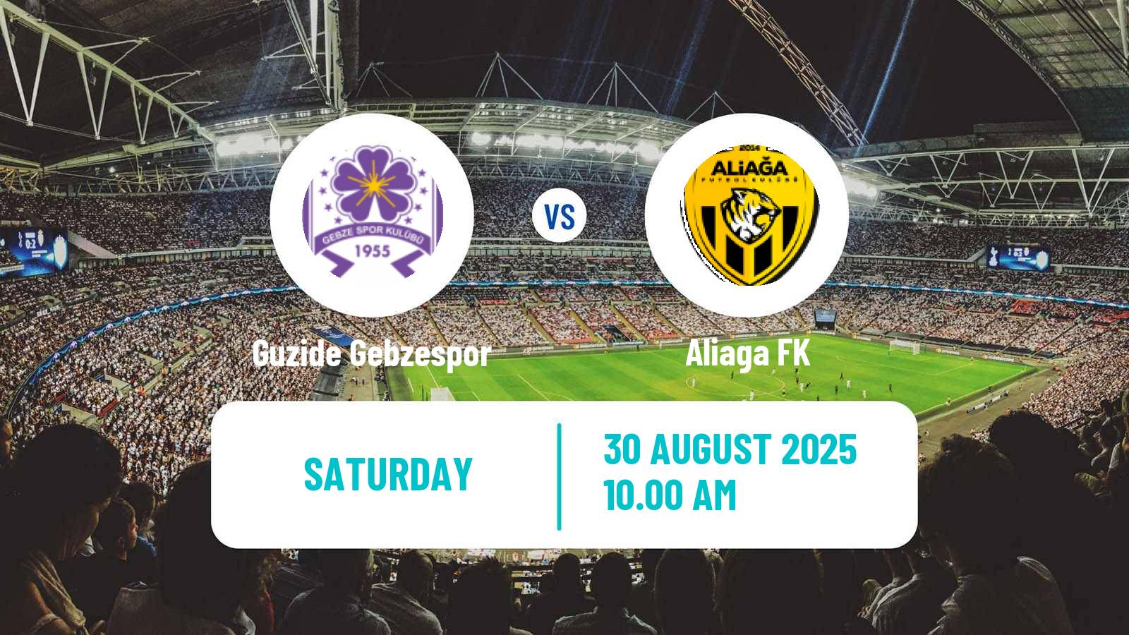 Soccer Turkish Second League Red Group Guzide Gebzespor - Aliaga