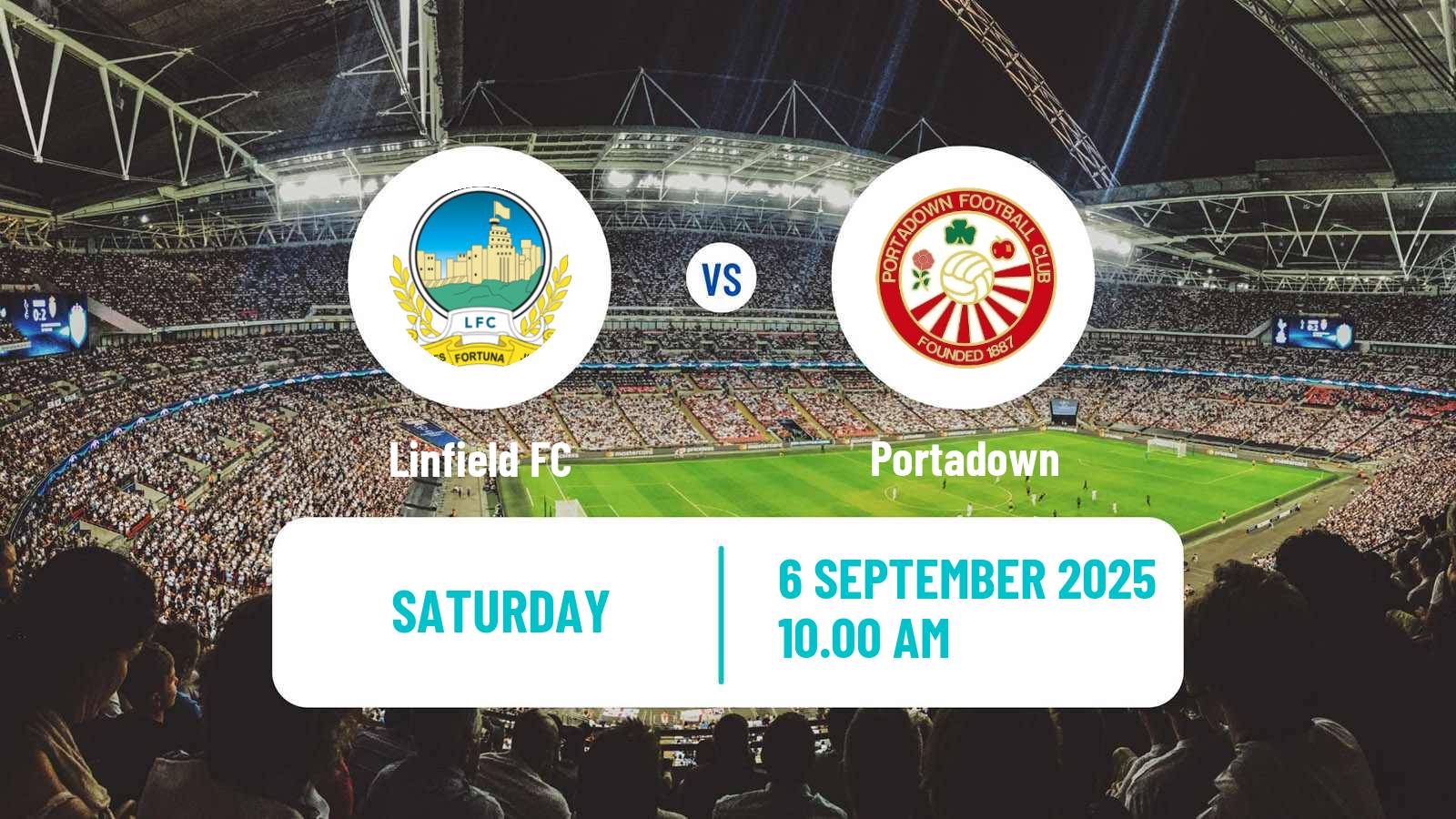 Soccer Northern Irish Premiership Linfield - Portadown