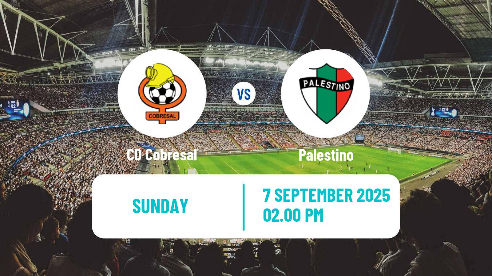 Soccer Chilean Primera Division Cobresal - Palestino