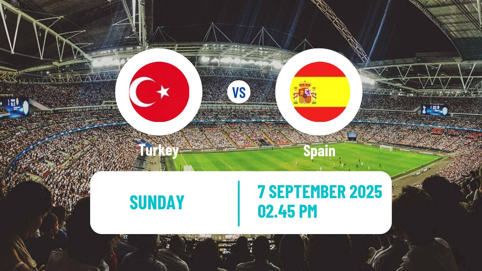 Soccer FIFA World Cup Turkey - Spain