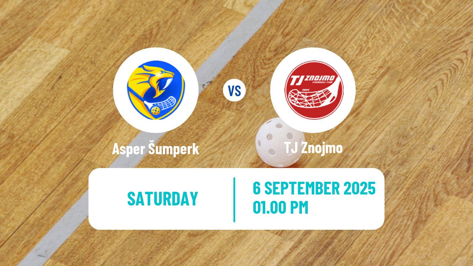 Floorball Czech 1 Liga Floorball Asper Šumperk - Znojmo