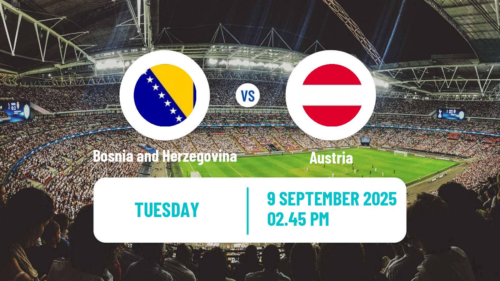 Soccer FIFA World Cup Bosnia and Herzegovina - Austria