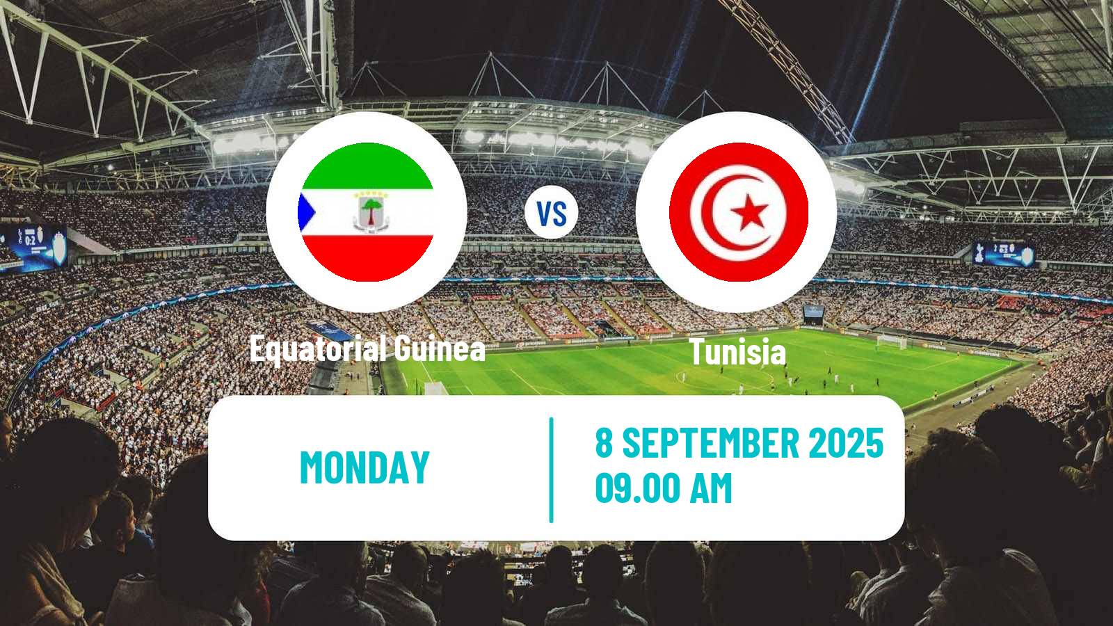 Soccer FIFA World Cup Equatorial Guinea - Tunisia