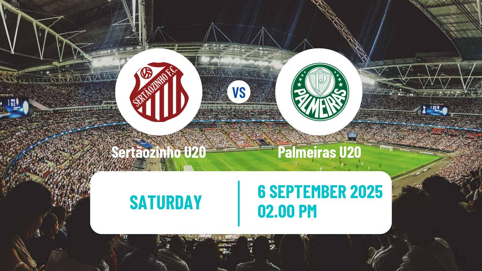 Soccer Brazilian Paulista U20 Sertãozinho U20 - Palmeiras U20