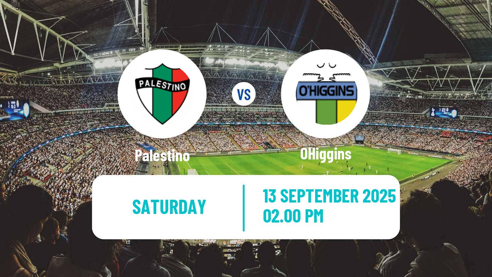 Soccer Chilean Primera Division Palestino - OHiggins