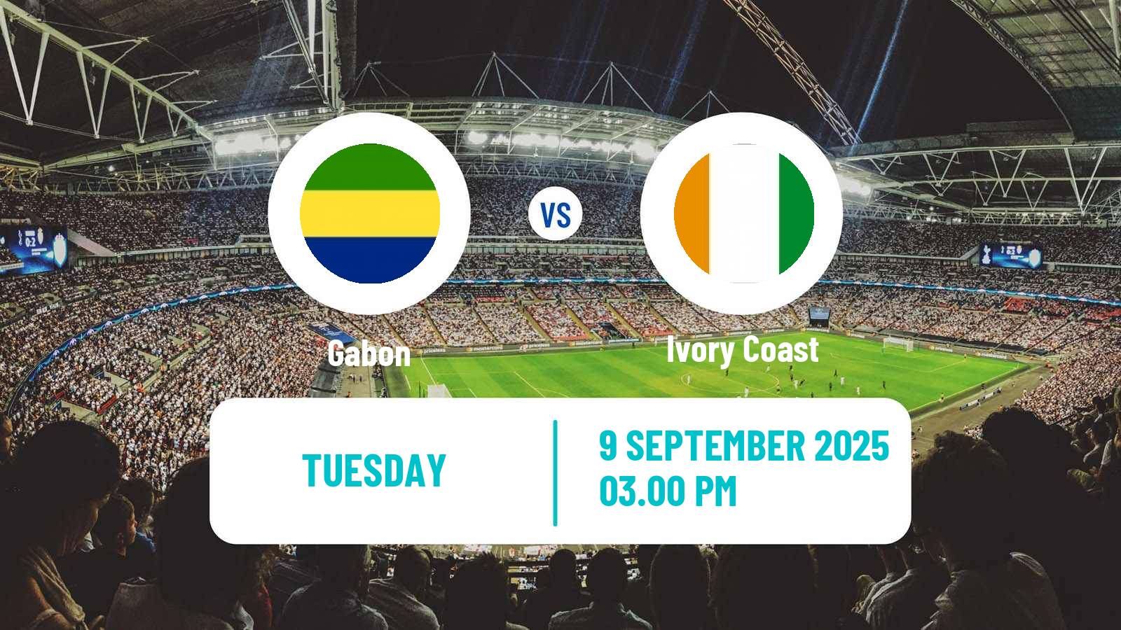 Soccer FIFA World Cup Gabon - Ivory Coast