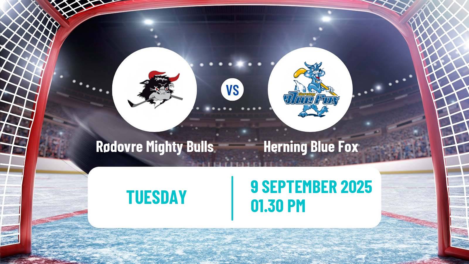 Hockey Danish Ishockey Ligaen Rødovre Mighty Bulls - Herning Blue Fox