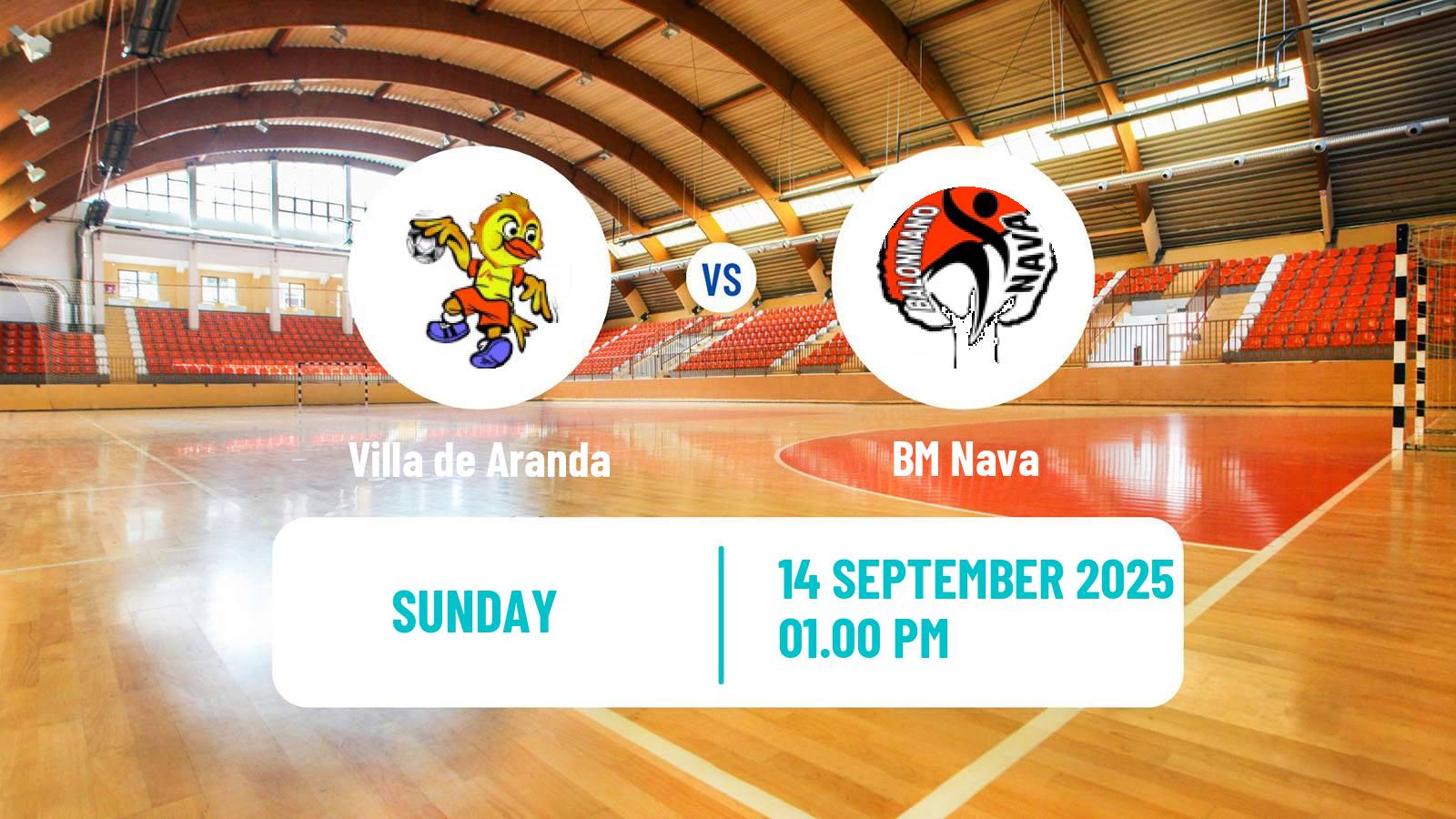 Handball Spanish Liga ASOBAL Villa de Aranda - Nava