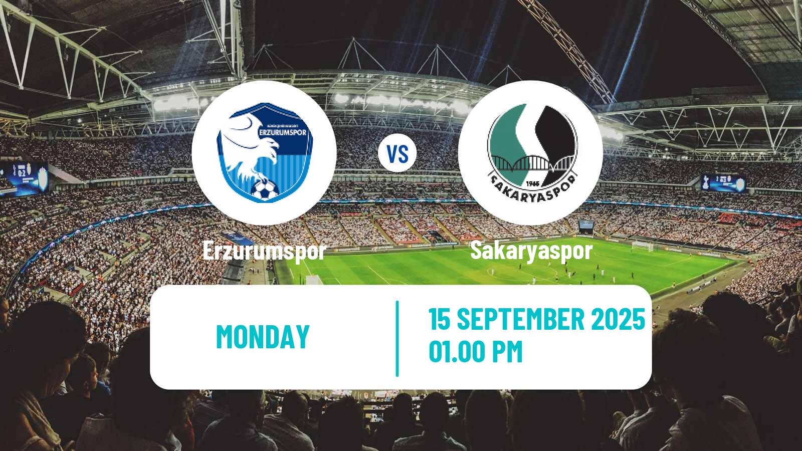 Soccer Turkish First League Erzurumspor - Sakaryaspor