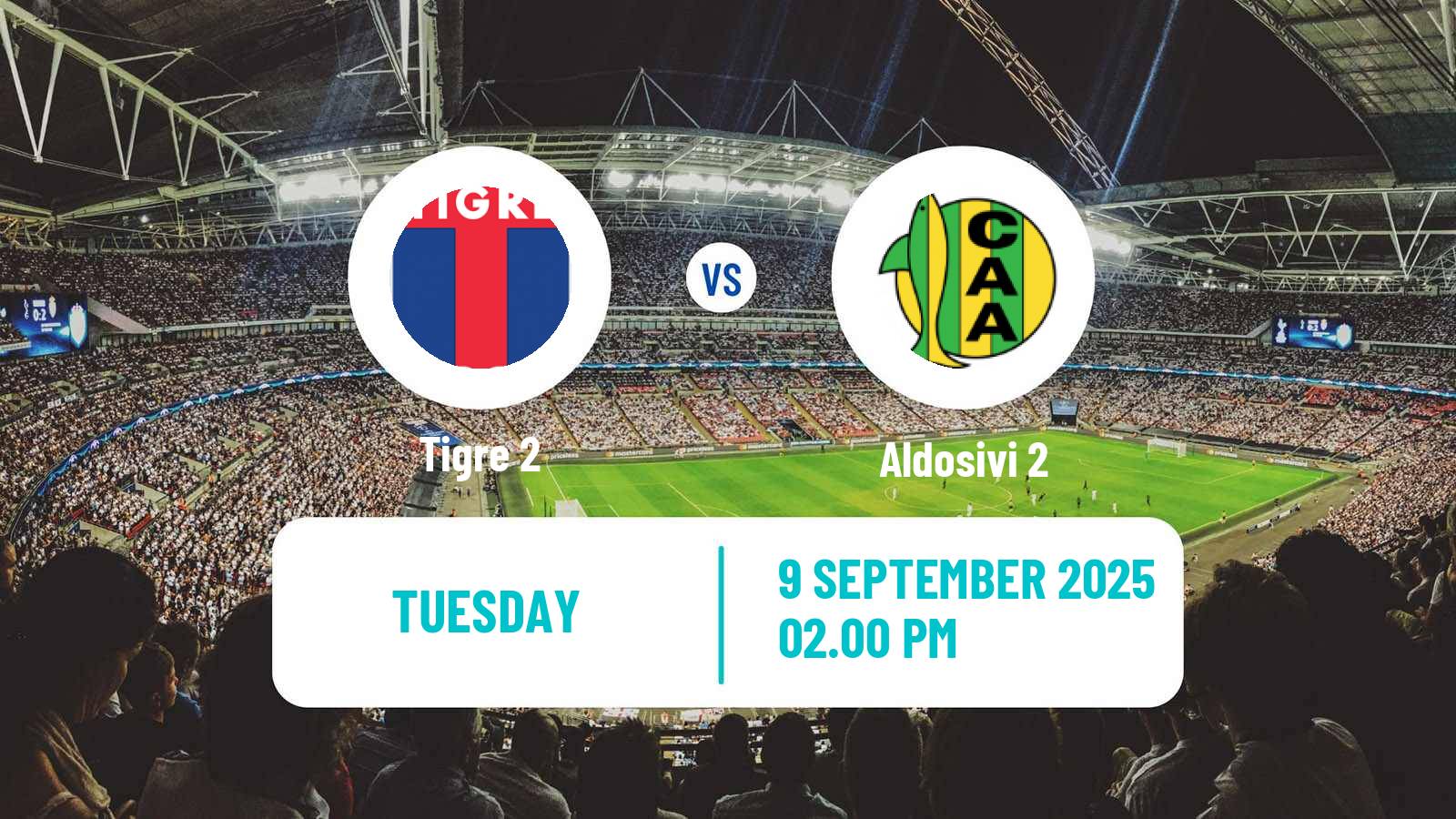 Soccer Argentinian Reserve League Tigre 2 - Aldosivi 2
