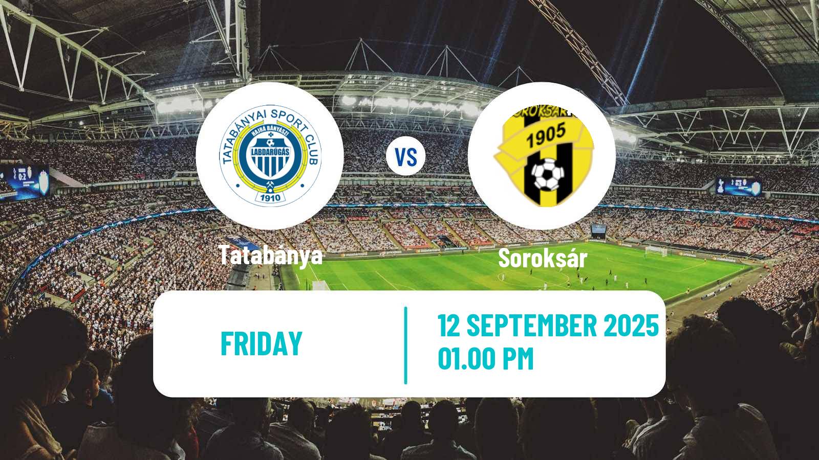 Soccer Hungarian Cup Tatabánya - Soroksár