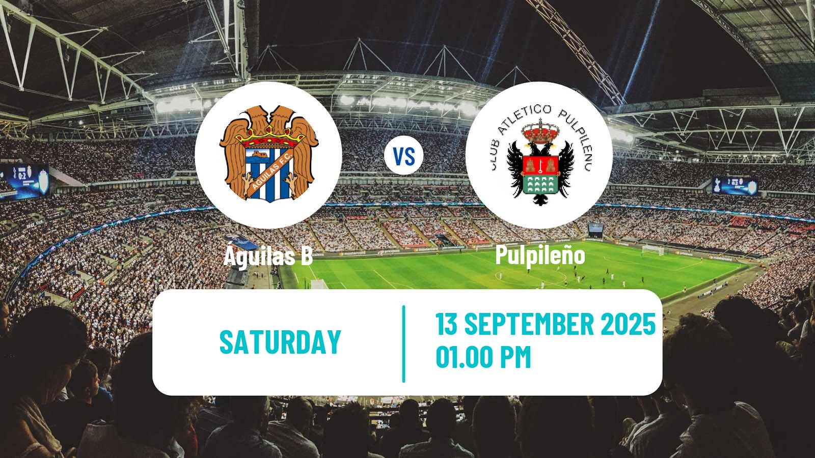 Soccer Spanish Tercera RFEF - Group 13 Águilas B - Pulpileño
