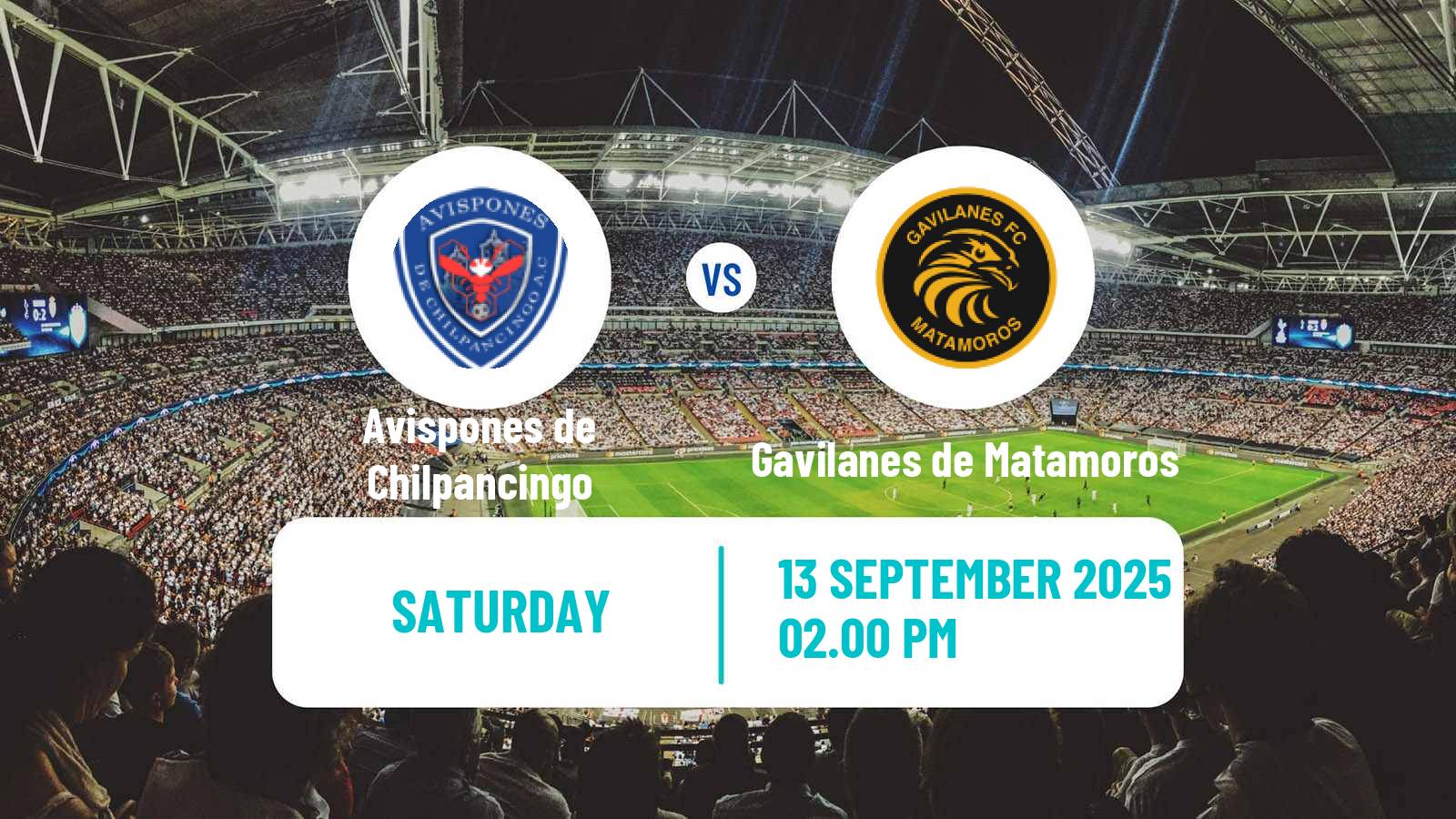 Soccer Mexican Liga Premier Serie A Avispones de Chilpancingo - Gavilanes de Matamoros