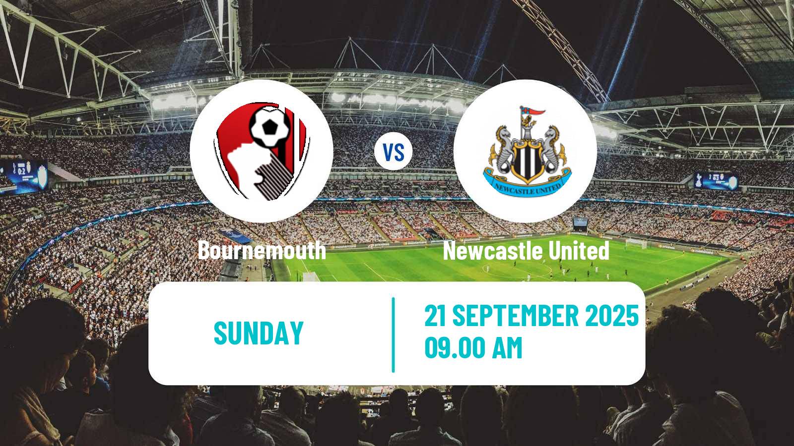 Soccer English Premier League Bournemouth - Newcastle United