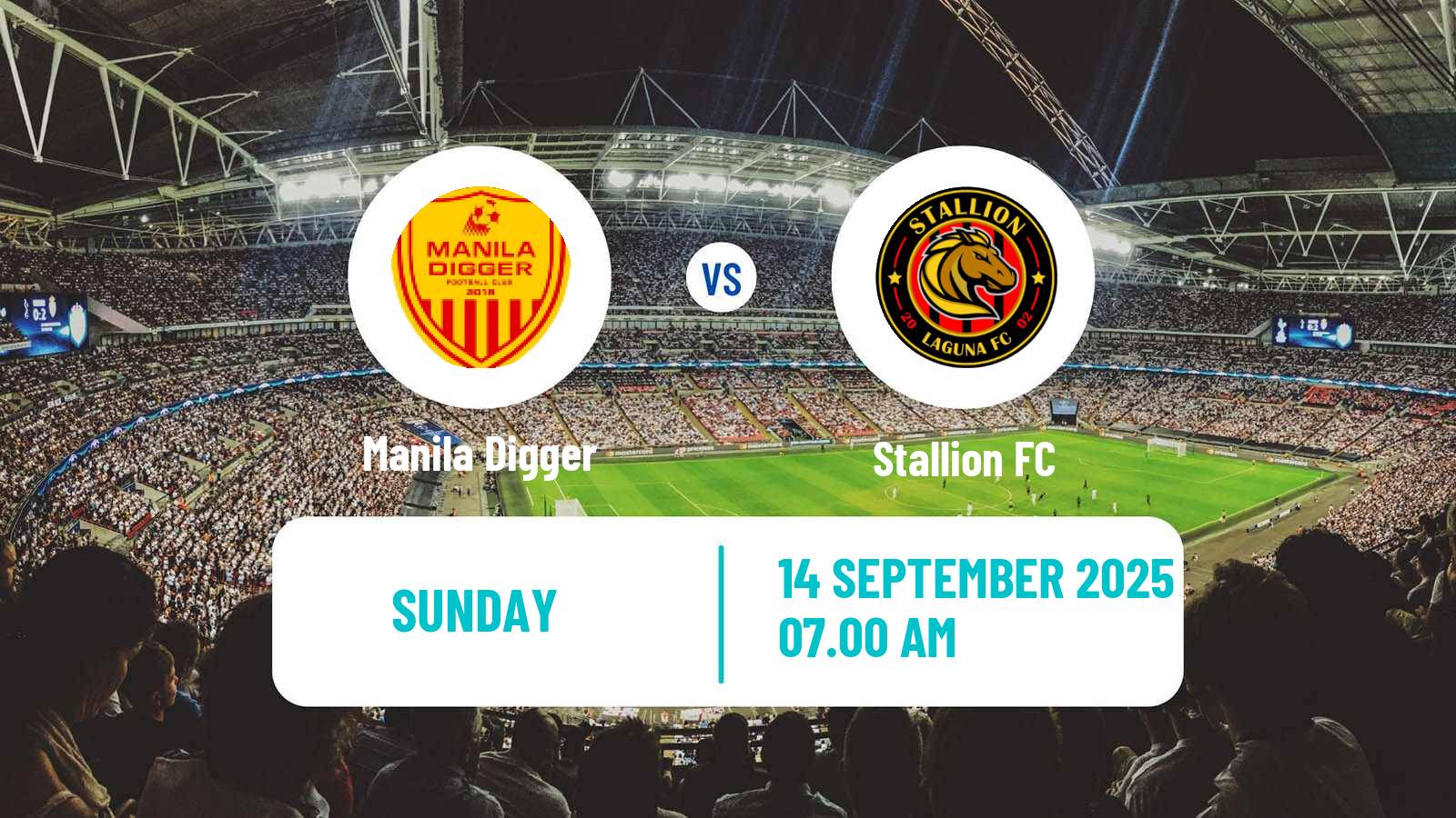 Soccer Philippines PFL Manila Digger - Stallion