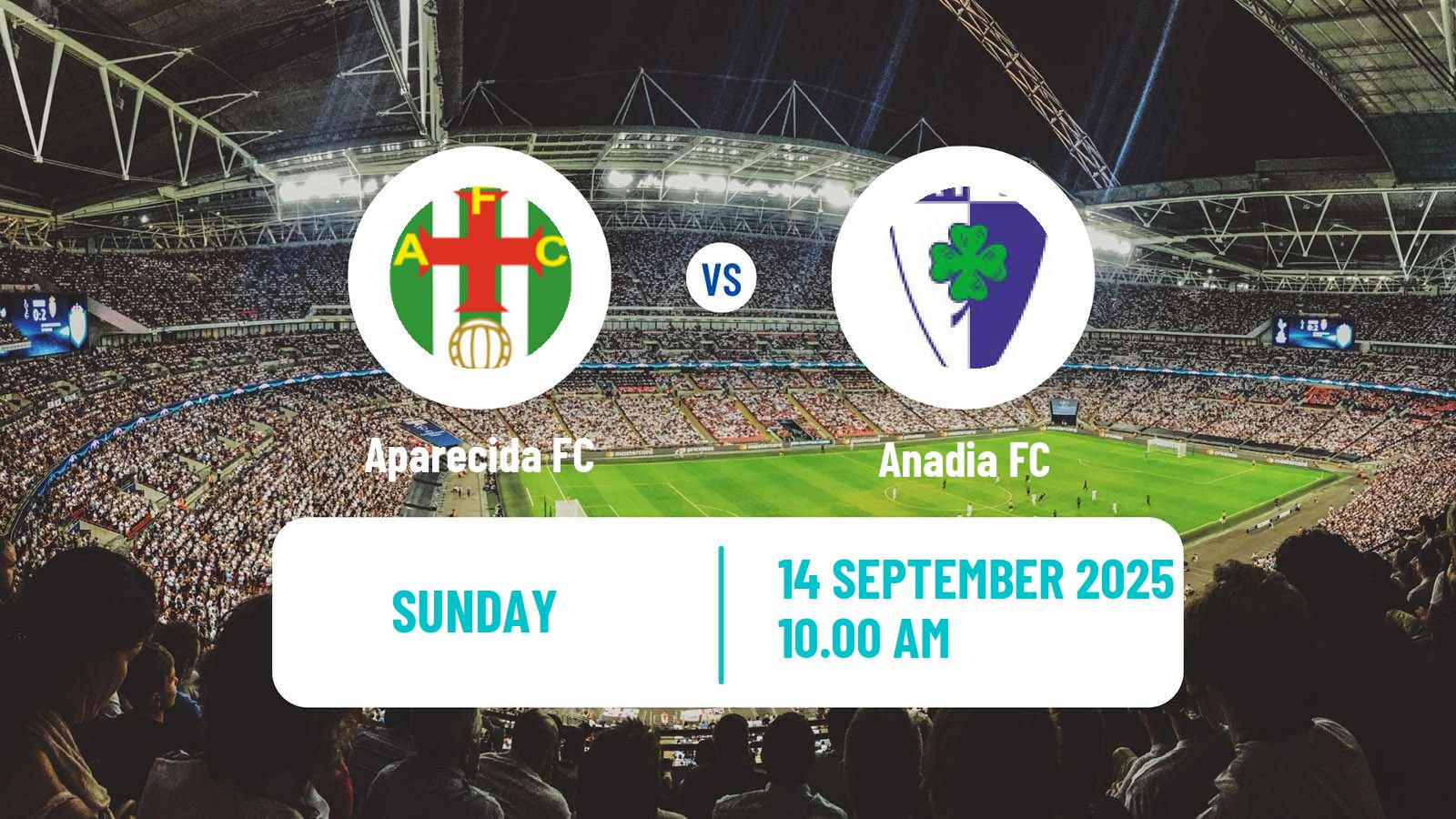Soccer Campeonato de Portugal Aparecida - Anadia