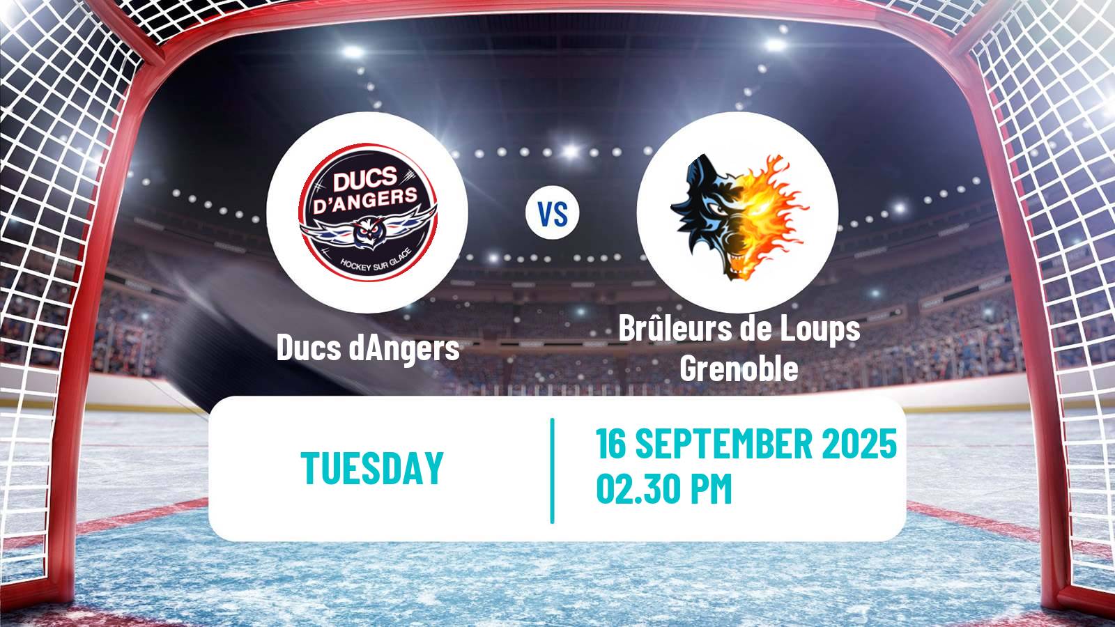Hockey French Ligue Magnus Angers - Brûleurs de Loups Grenoble