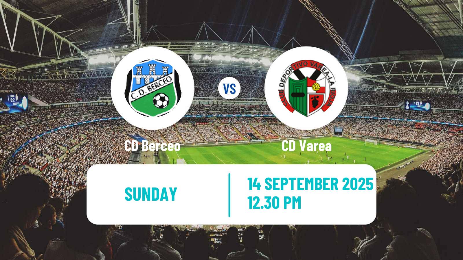 Soccer Spanish Tercera RFEF - Group 16 Berceo - Varea