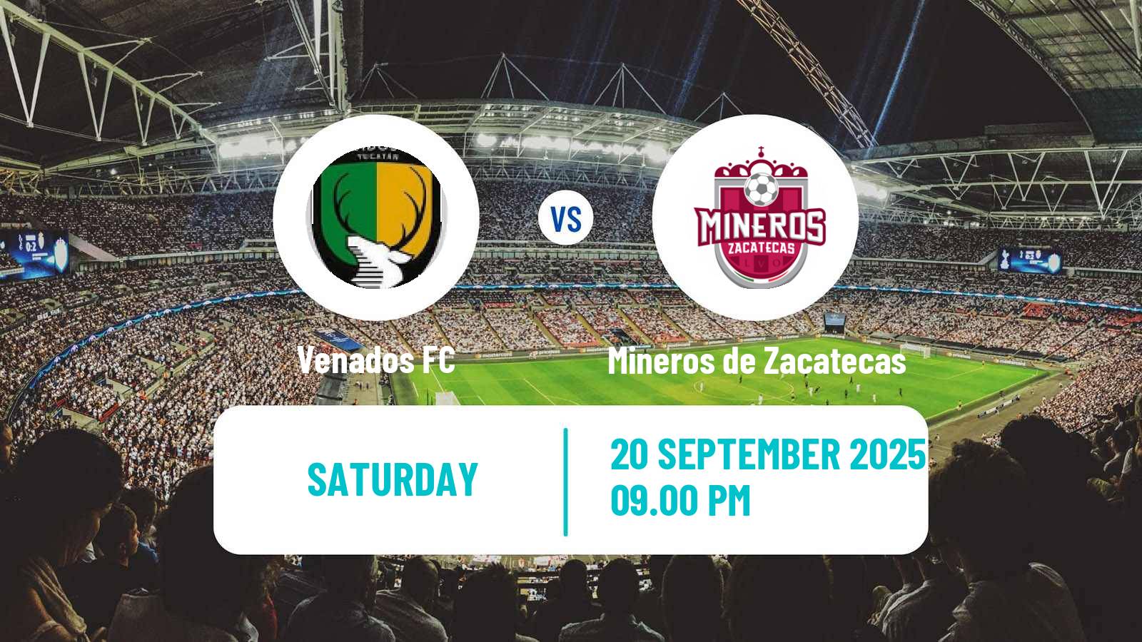 Soccer Mexican Liga de Expansion MX Venados - Mineros de Zacatecas