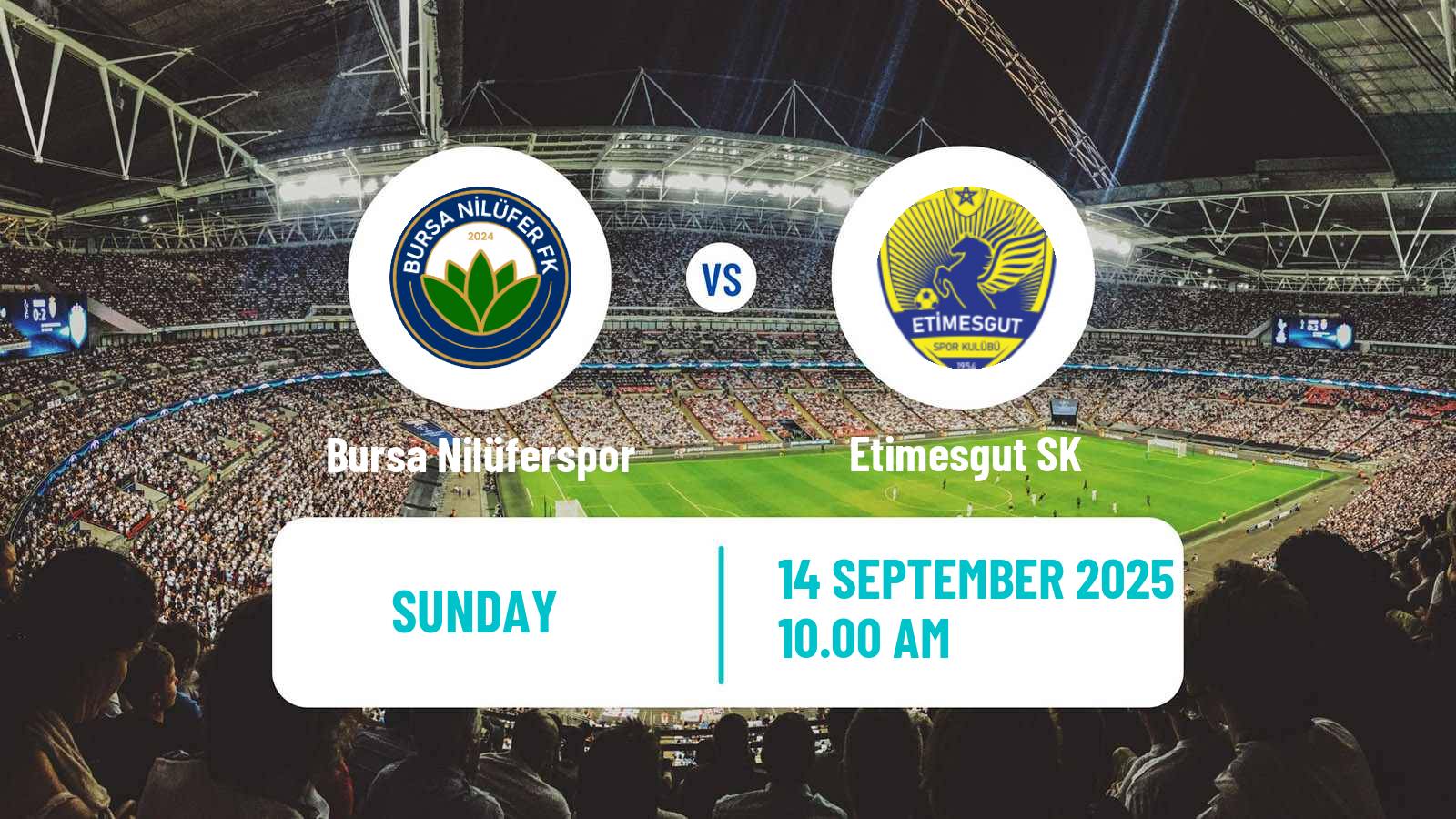 Soccer Turkish 3 Lig Group 1 Bursa Nilüferspor - Etimesgut