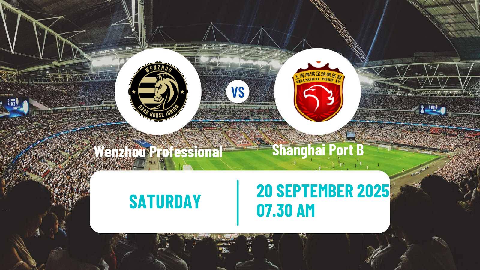 Soccer Chinese Yi League Wenzhou Professional - Shanghai Port B