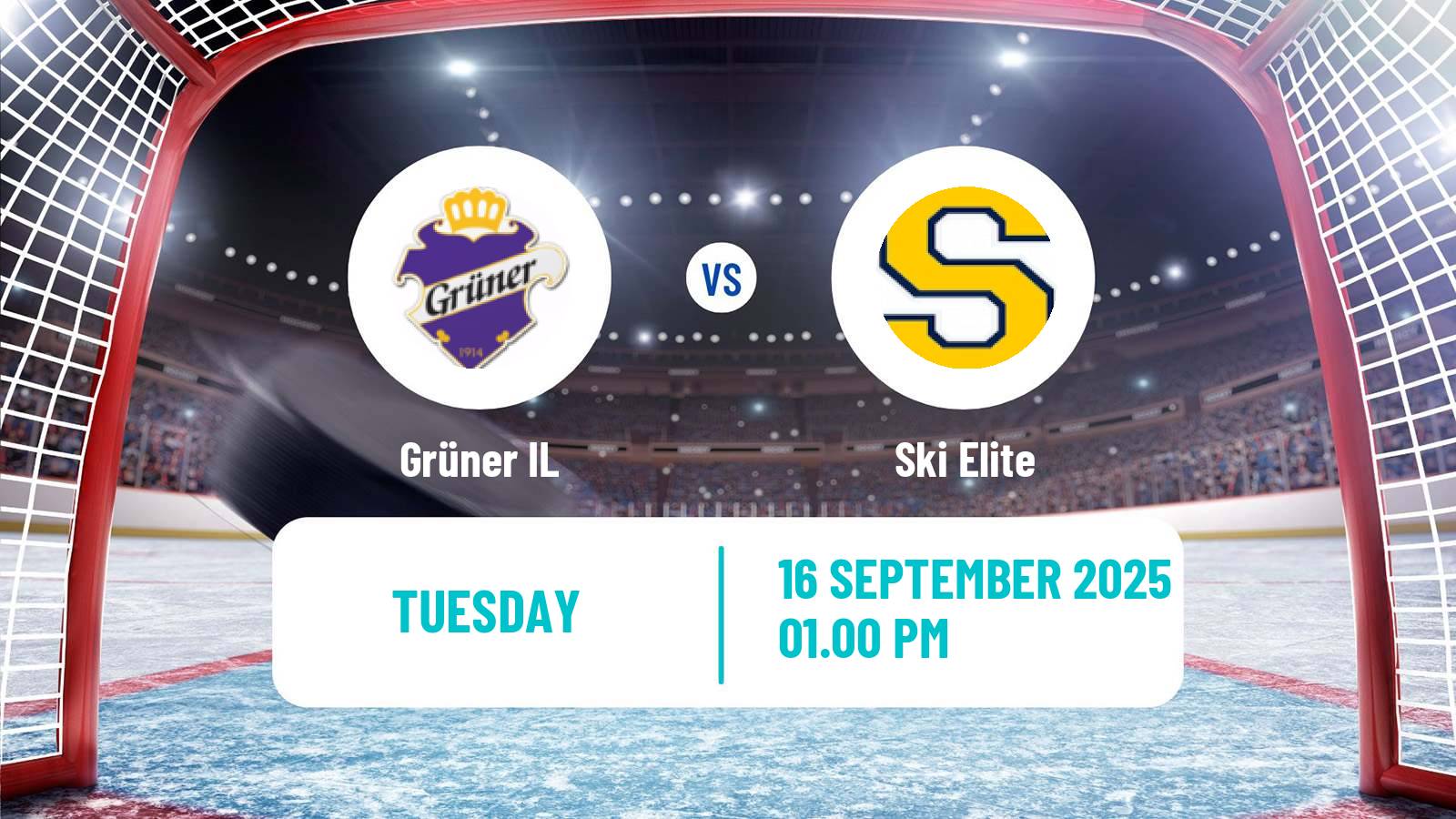 Hockey Club Friendly Ice Hockey Grüner - Ski Elite