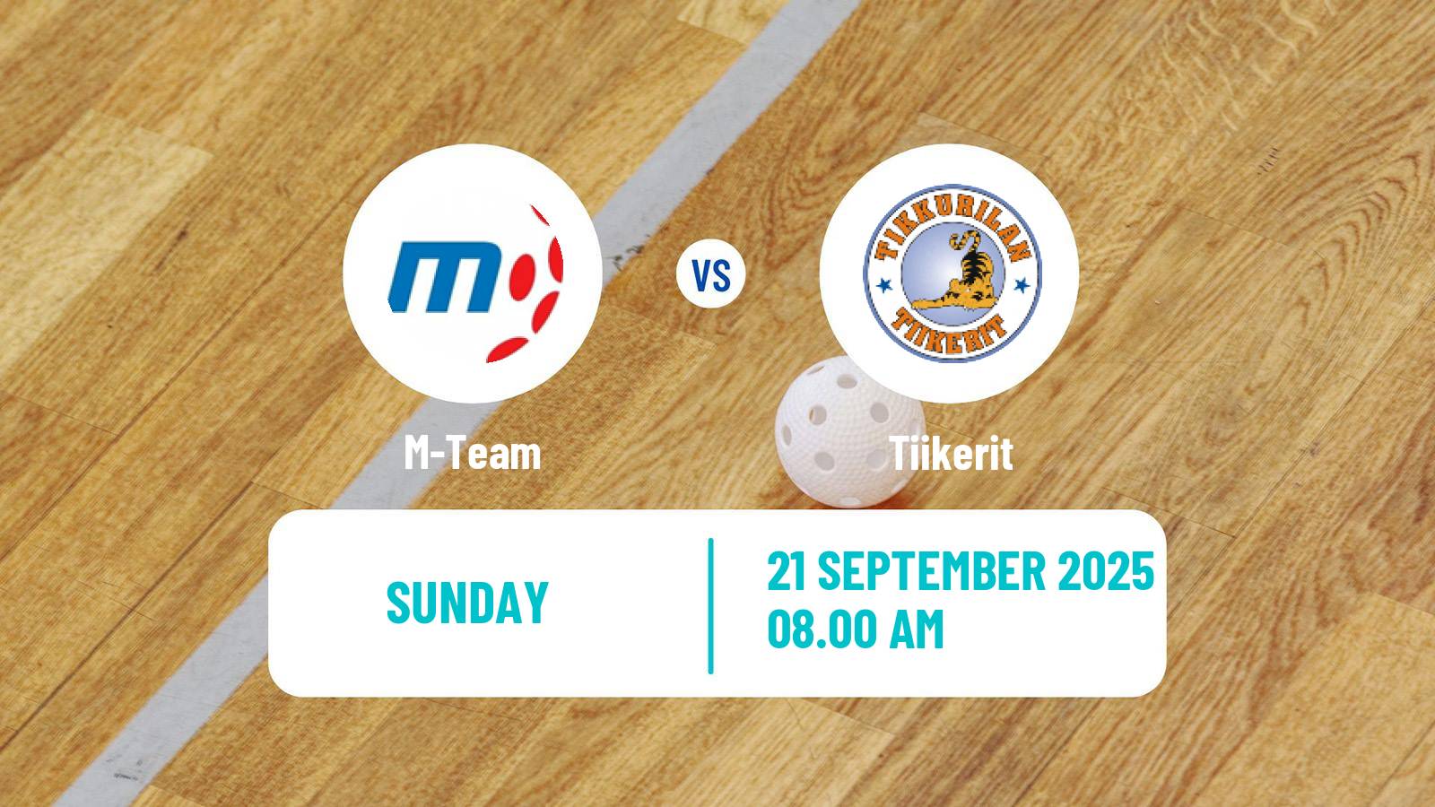 Floorball Finnish Divari M-Team - Tiikerit